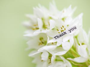 業務用シュレッダーはオフィスの必需品